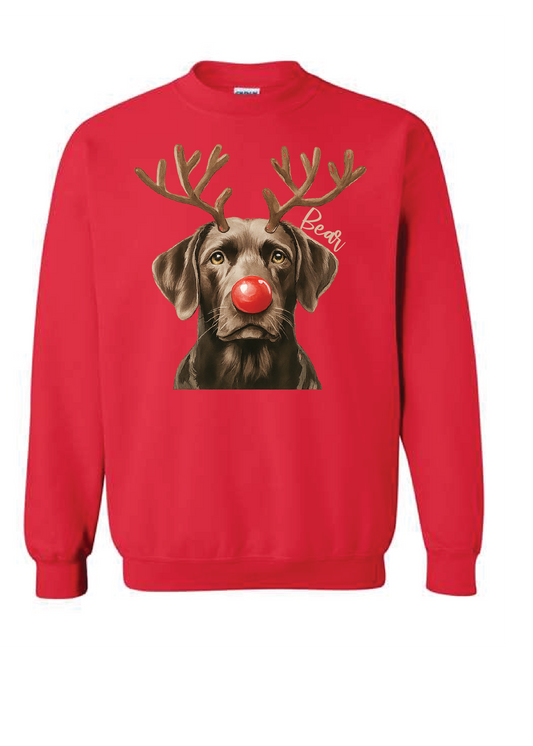 PERSONALIZED  REINDEER DOG SWEATSHIRT