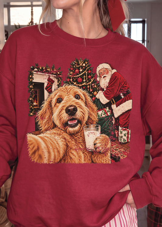 Santa, I can Explain Custom Sweatshirt